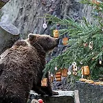 Thalleruv Dum בית הארחה 3*