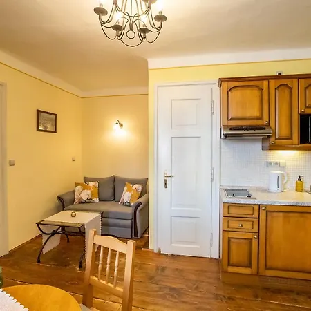 塔勒魯夫杜姆住宿酒店 3* Cesky Krumlov