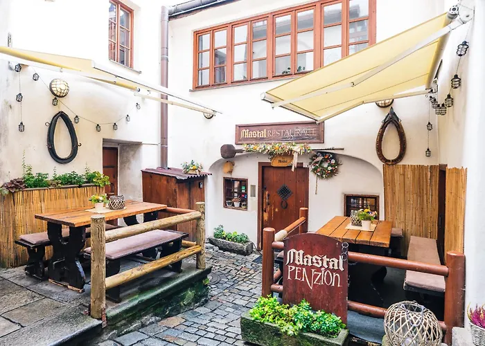 塔勒鲁夫杜姆住宿酒店 招待所 Český Krumlov