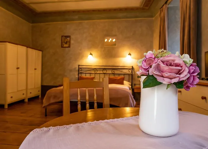 塔勒鲁夫杜姆住宿酒店 3* Český Krumlov